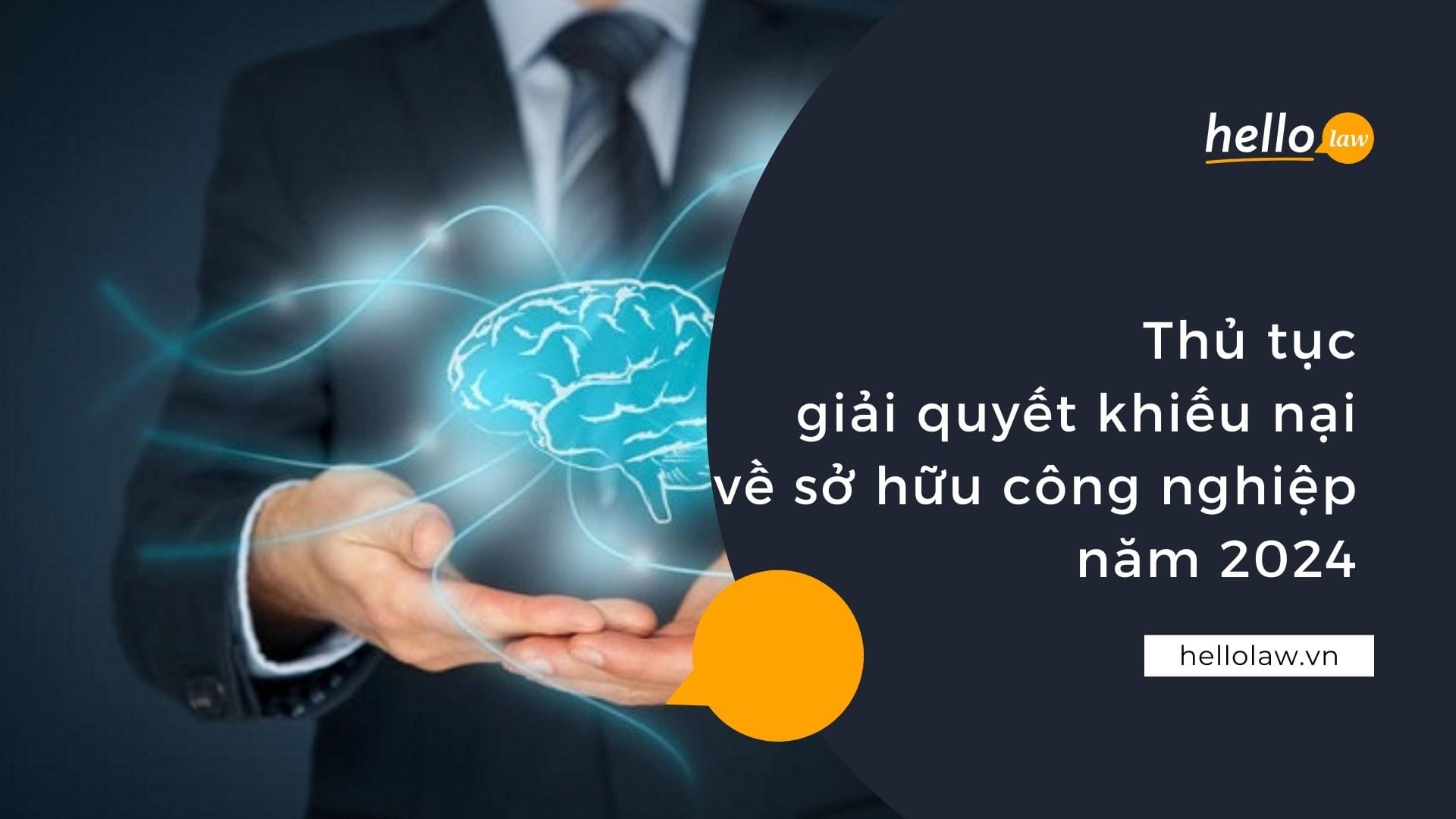 Thủ tục giải quyết khiếu nại về sở hữu công nghiệp năm 2024 So huu tri tue